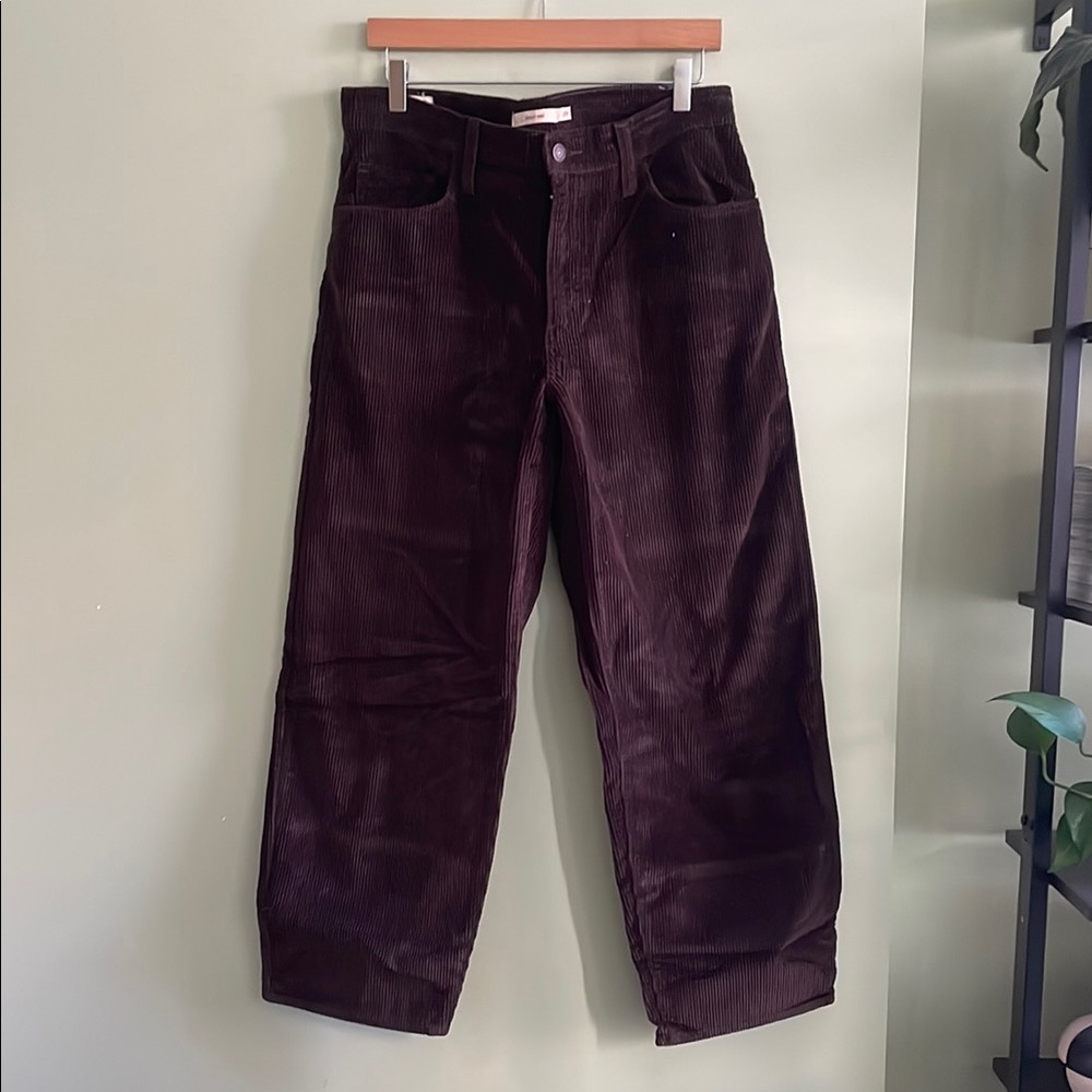 Levi's Men's Dark Brown Corduroy Pants